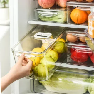 Multi-Purpose Refrigerator Fresh Storage Box