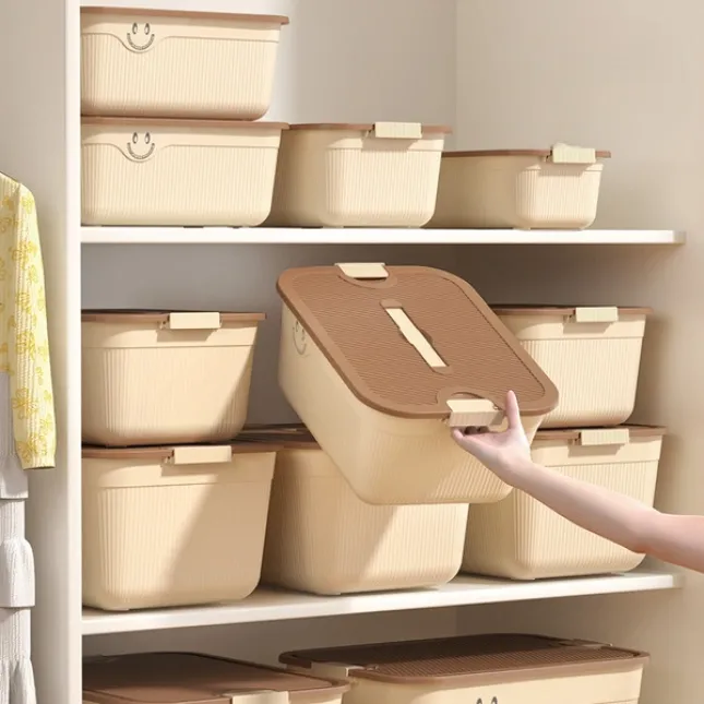 Premium Desktop Storage Basket with Lid – Multi-purpose Household Organizer