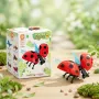 Pocket Block Insect TINY – Ladybug Building Block Toy Set | 57 Pcs
