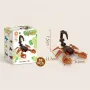 Pocket Block Insect TINY – Scorpion Building Block Toy Set | 58 Pcs